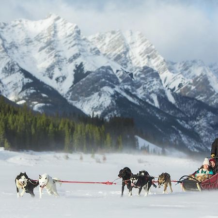 Mount Kidd Manor At Kananaskis Exteriér fotografie